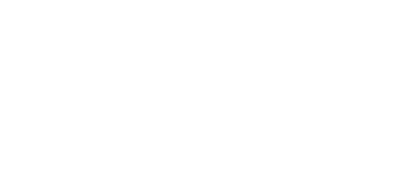 Partner 1